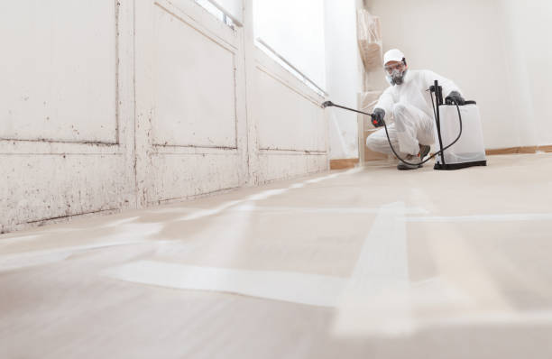 24/7 Emergency Mold Cleanup experts in Chevy Chase, MD