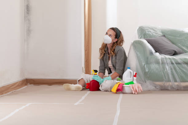 Reliable Mold Cleanup contractor in Chevy Chase, MD by Cheap Mold Removal